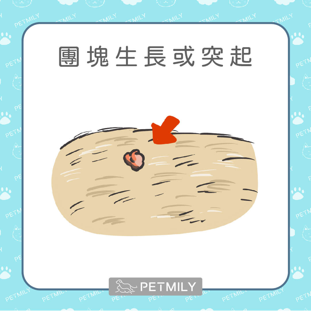 身體出現突起或小腫塊
