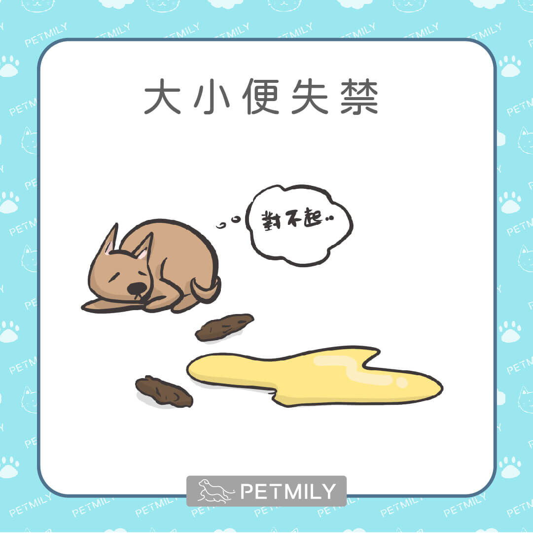 排尿控制力下降