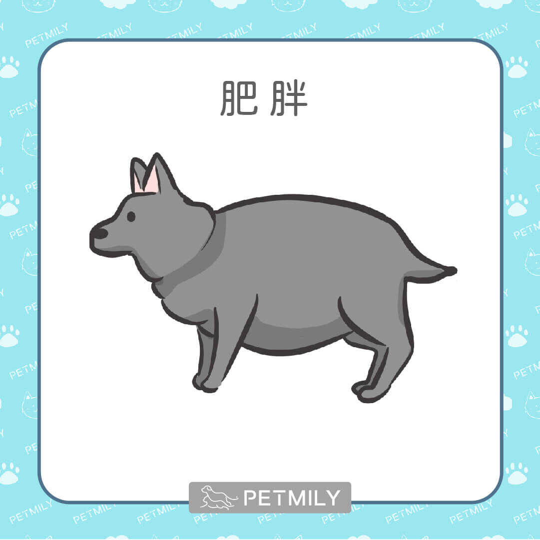 體重增加