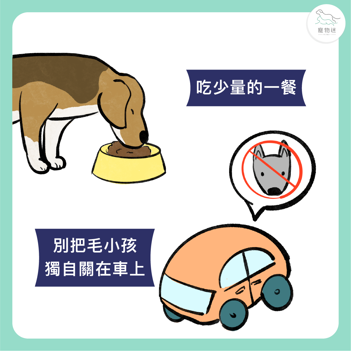 出發前避免餵食過多