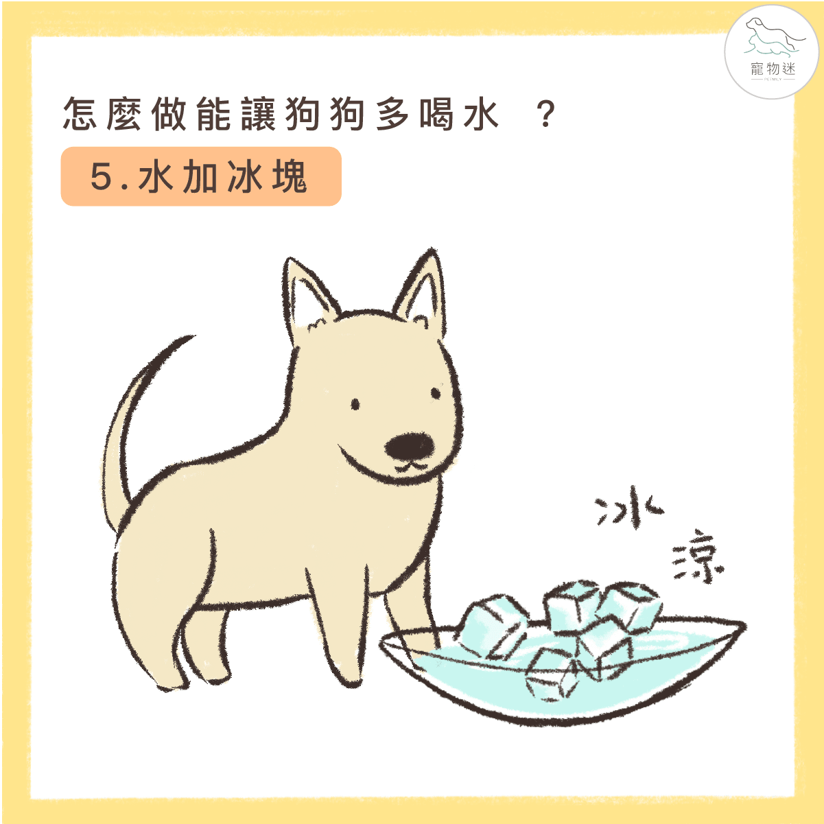 加冰塊吸引牠