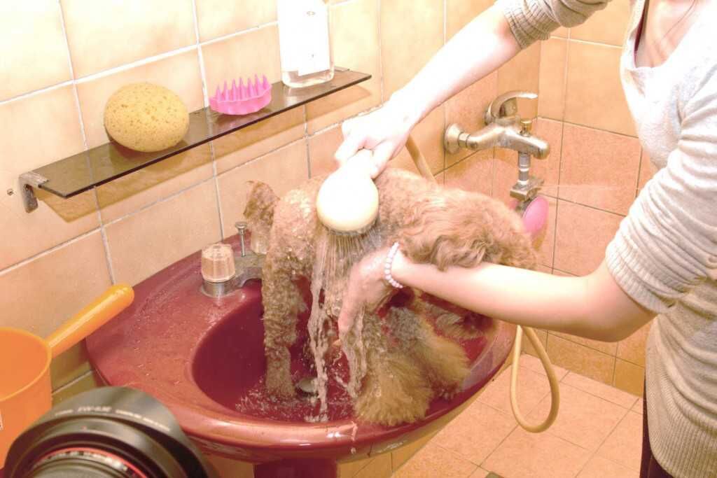 先用溫水打濕身體