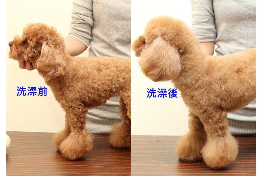 確認完成