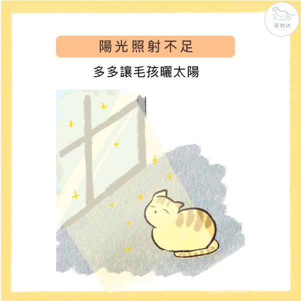 日照不足