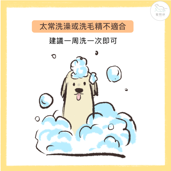洗澡過度或使用不當洗毛精