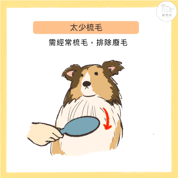 太少梳毛