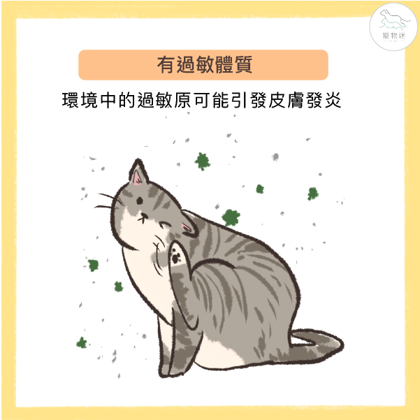 過敏體質