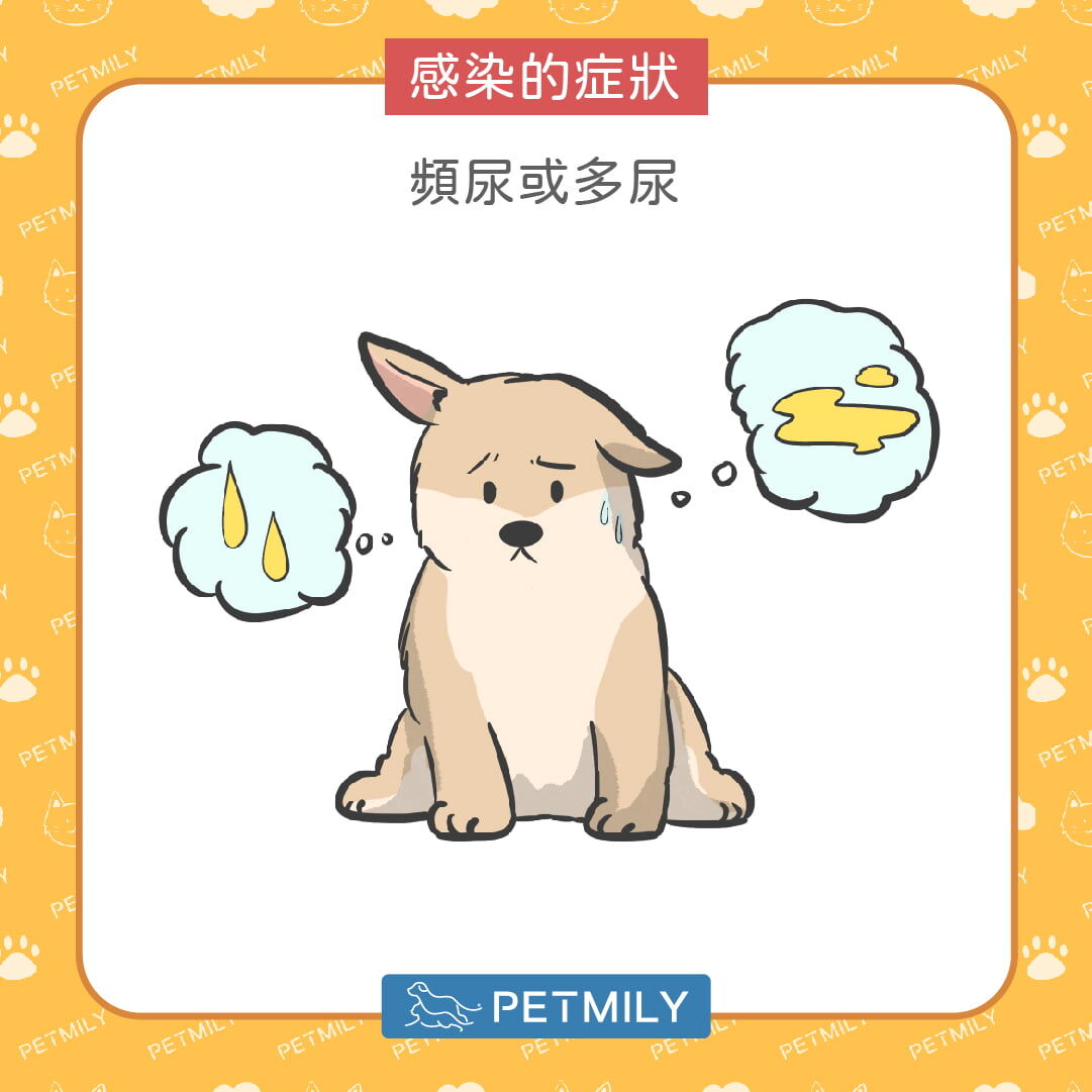 上廁所頻率突然增加或變少