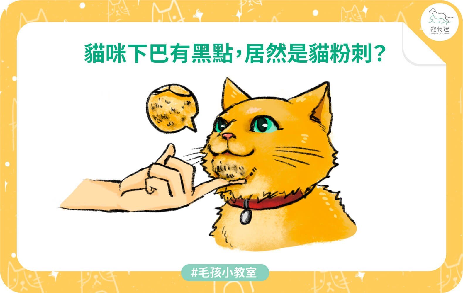 貓咪下巴長黑點？5招改善常見貓粉刺問題！