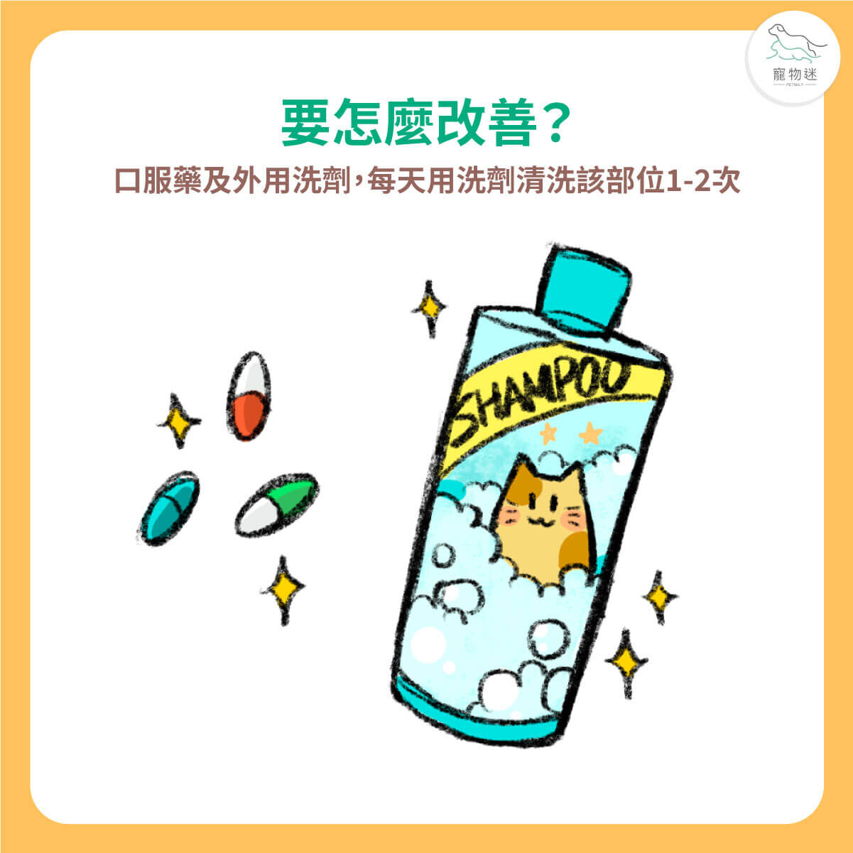 詢問獸醫使用洗劑或藥物