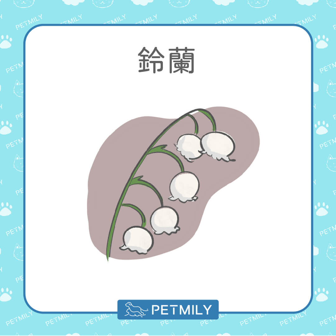 鈴蘭