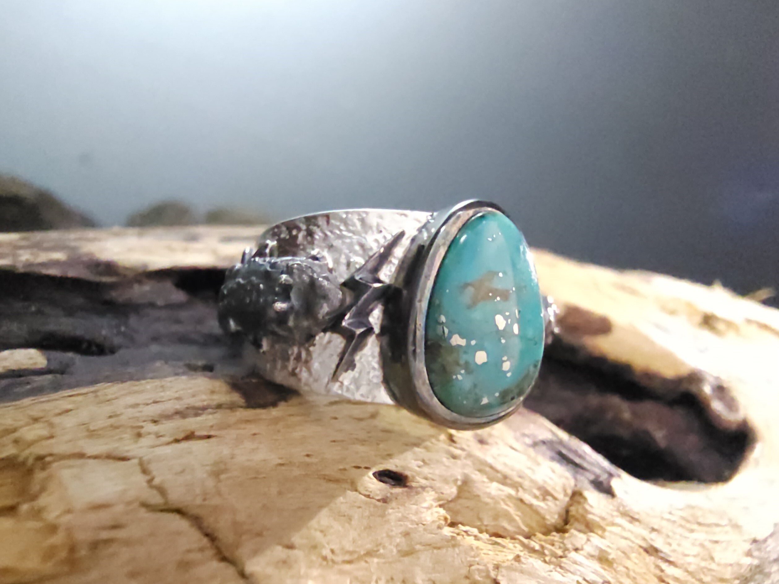 *Black Venom Jewelry- Freedom & Prayer 純銀角蜥蜴戒鑲Morenci II 松石