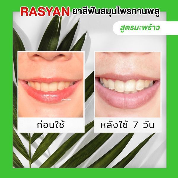 泰國 RASYAN 美白牙粉  (T5 T524)