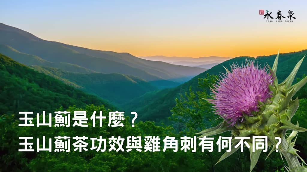 玉山薊是什麼？玉山薊茶功效與雞角刺有何不同？