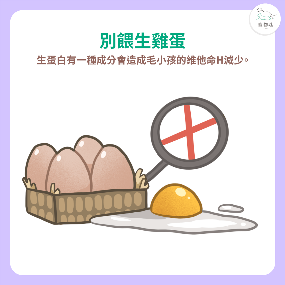 雞蛋要煮熟再餵