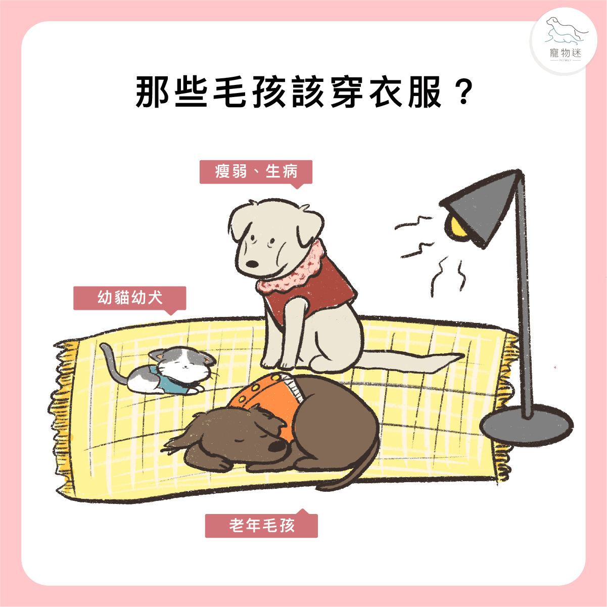 哪些毛孩需要穿衣服保暖？