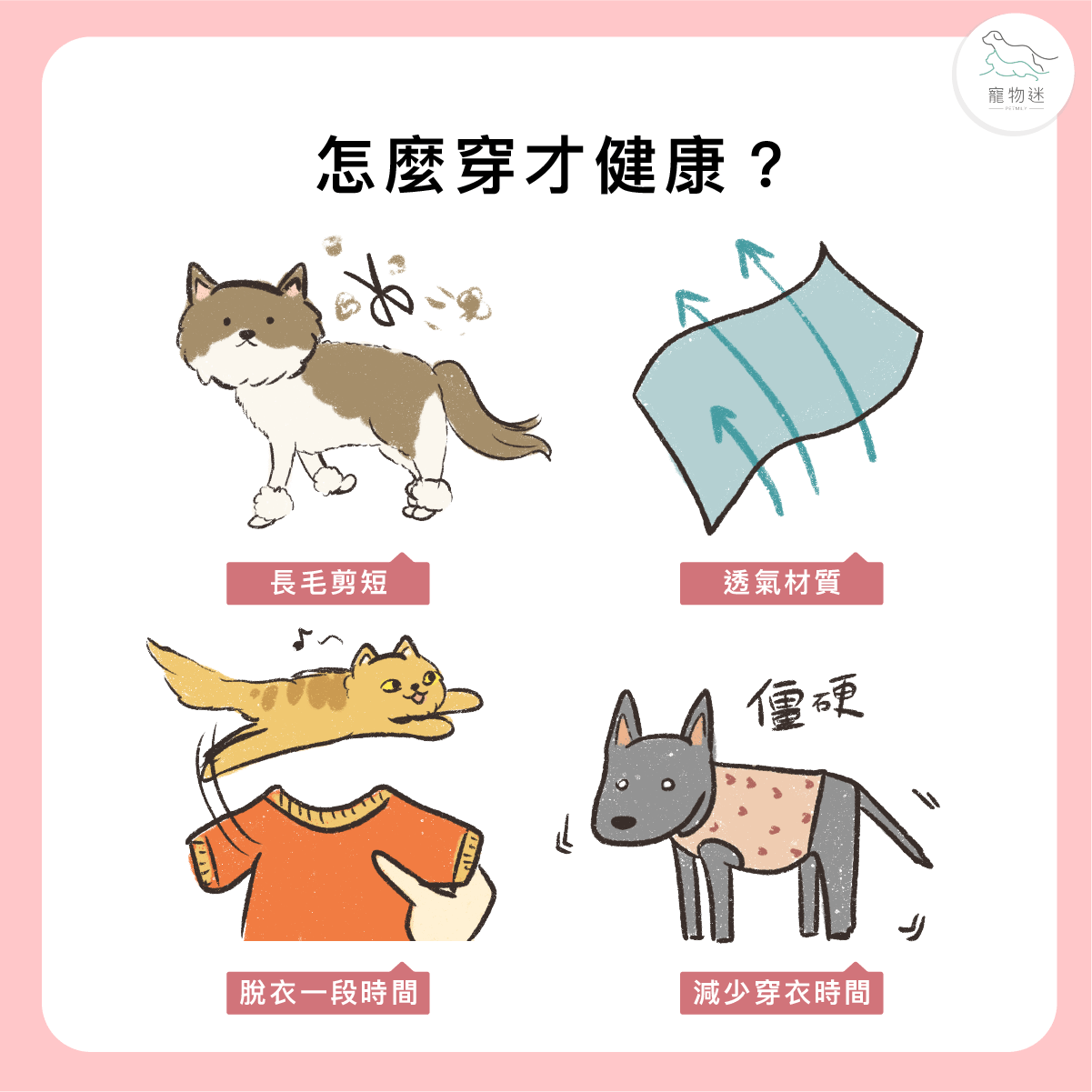 怎麼幫毛孩穿得既可愛又健康？