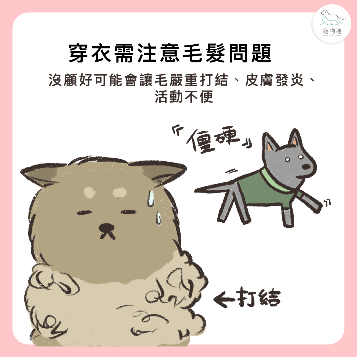 穿衣服注意毛孩不舒服