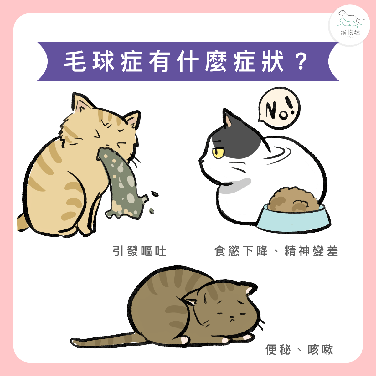 貓咪毛球問題會有哪些跡象？