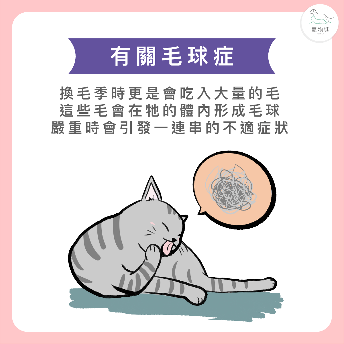 甚麼是貓咪毛球問題