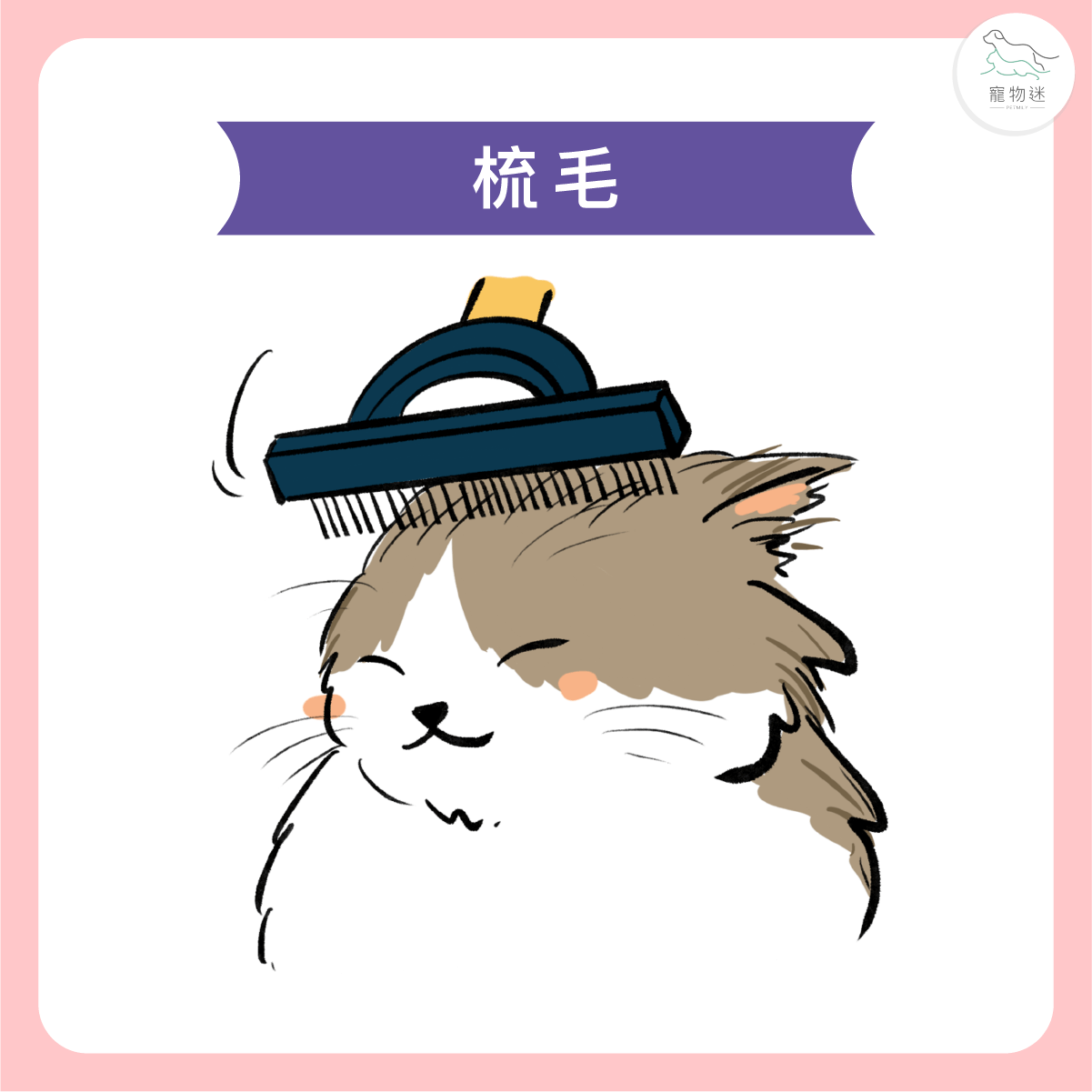 定期梳毛