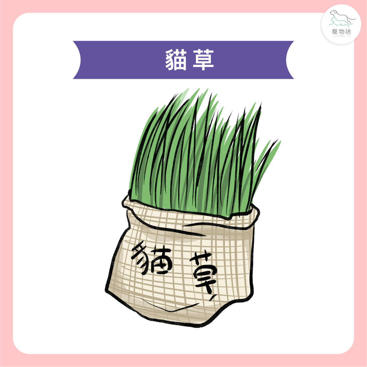 補充膳食纖維來源，如貓草或小麥草