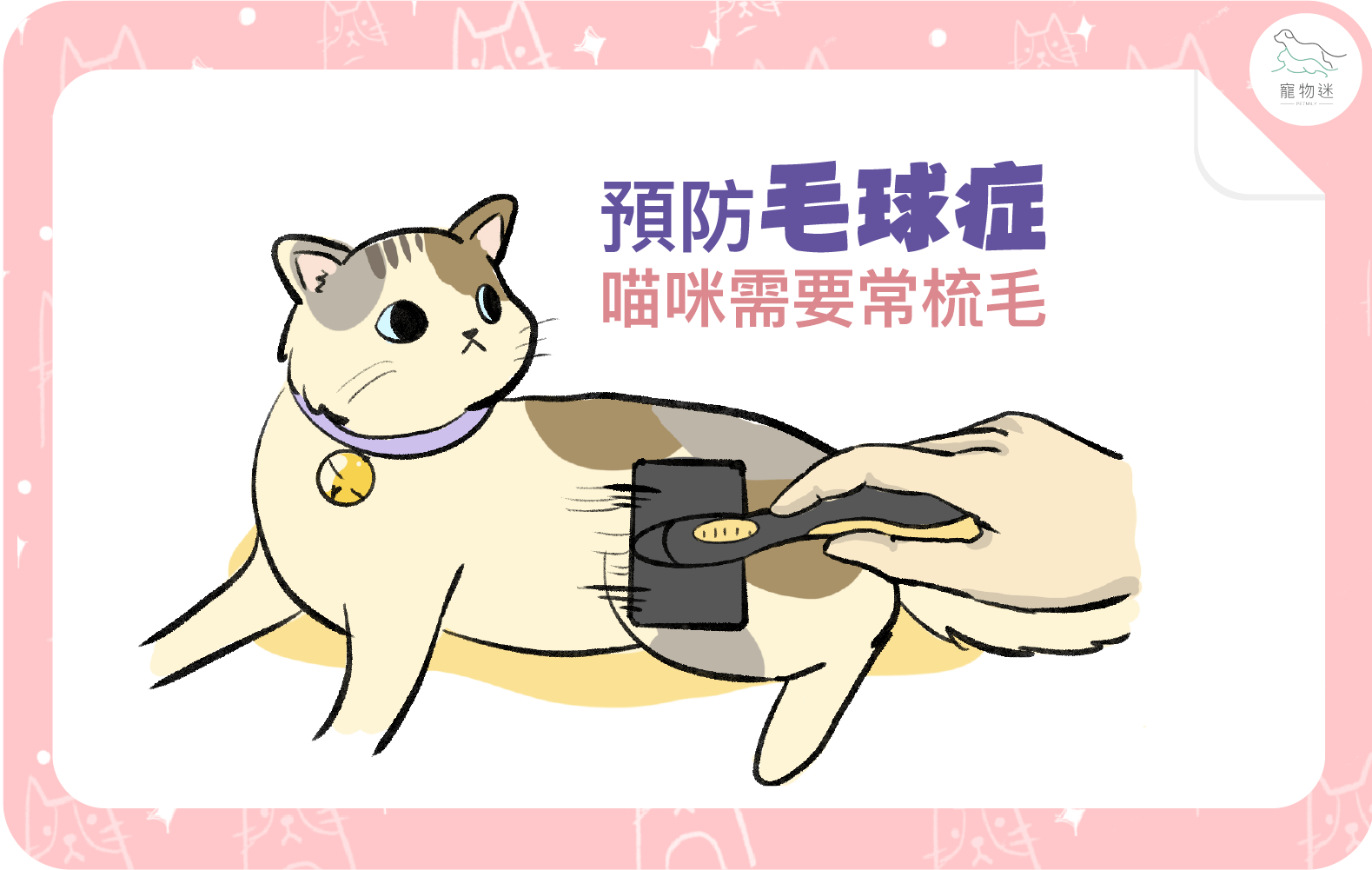 貓咪毛球問題怎麼預防？3招幫助喵星人維持消化順暢與健康！