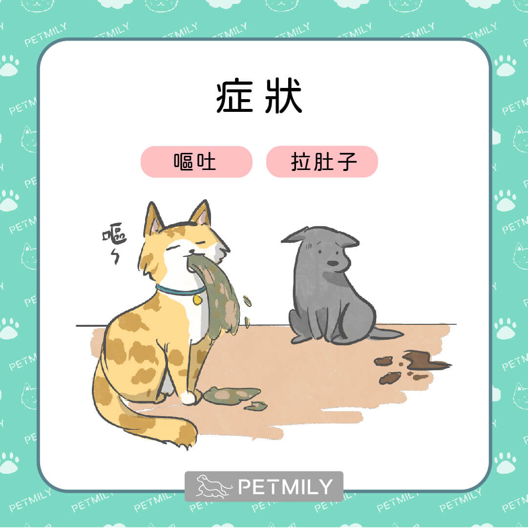 腸胃不適可能出現哪些狀況？
