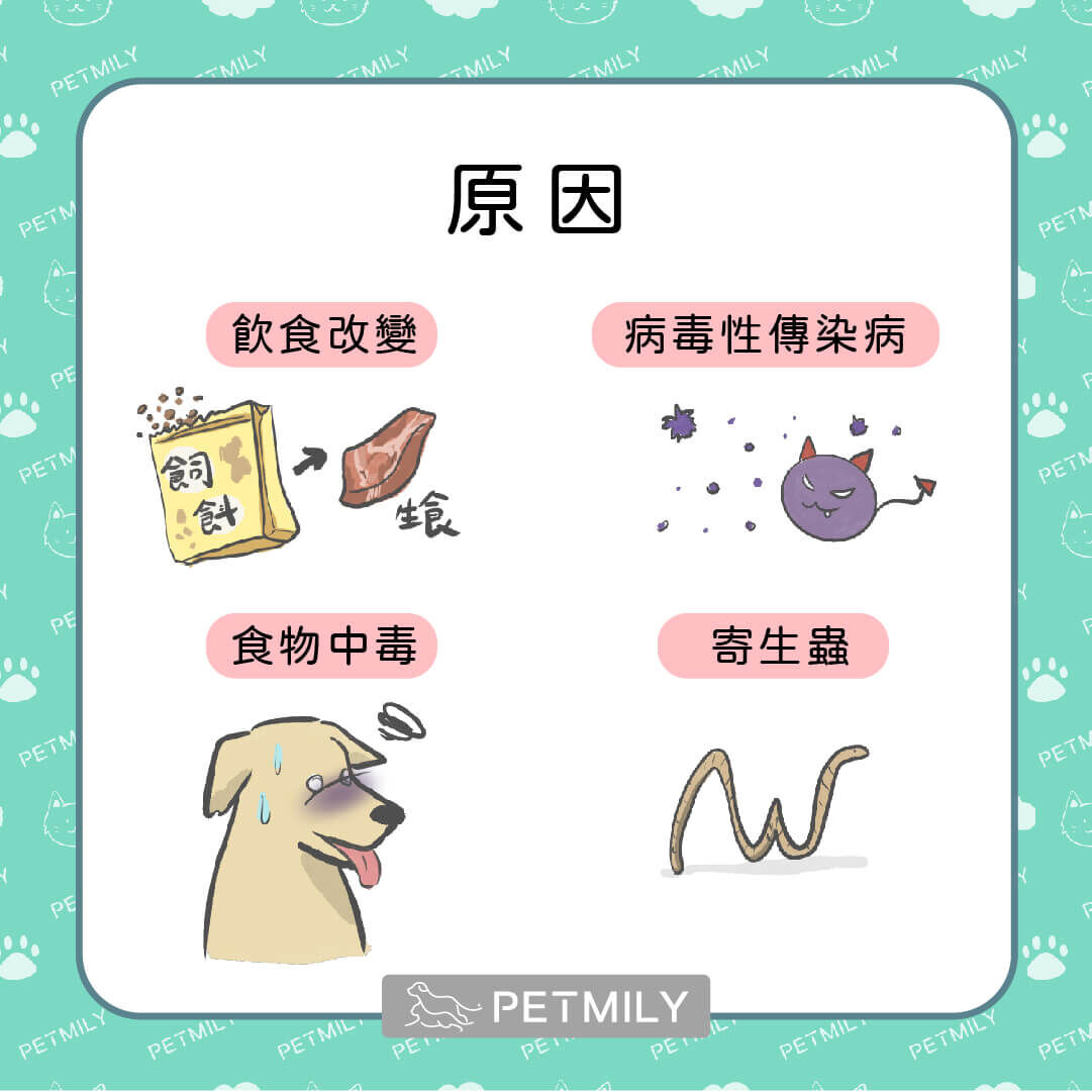可能導致腸胃不適的7個常見原因1