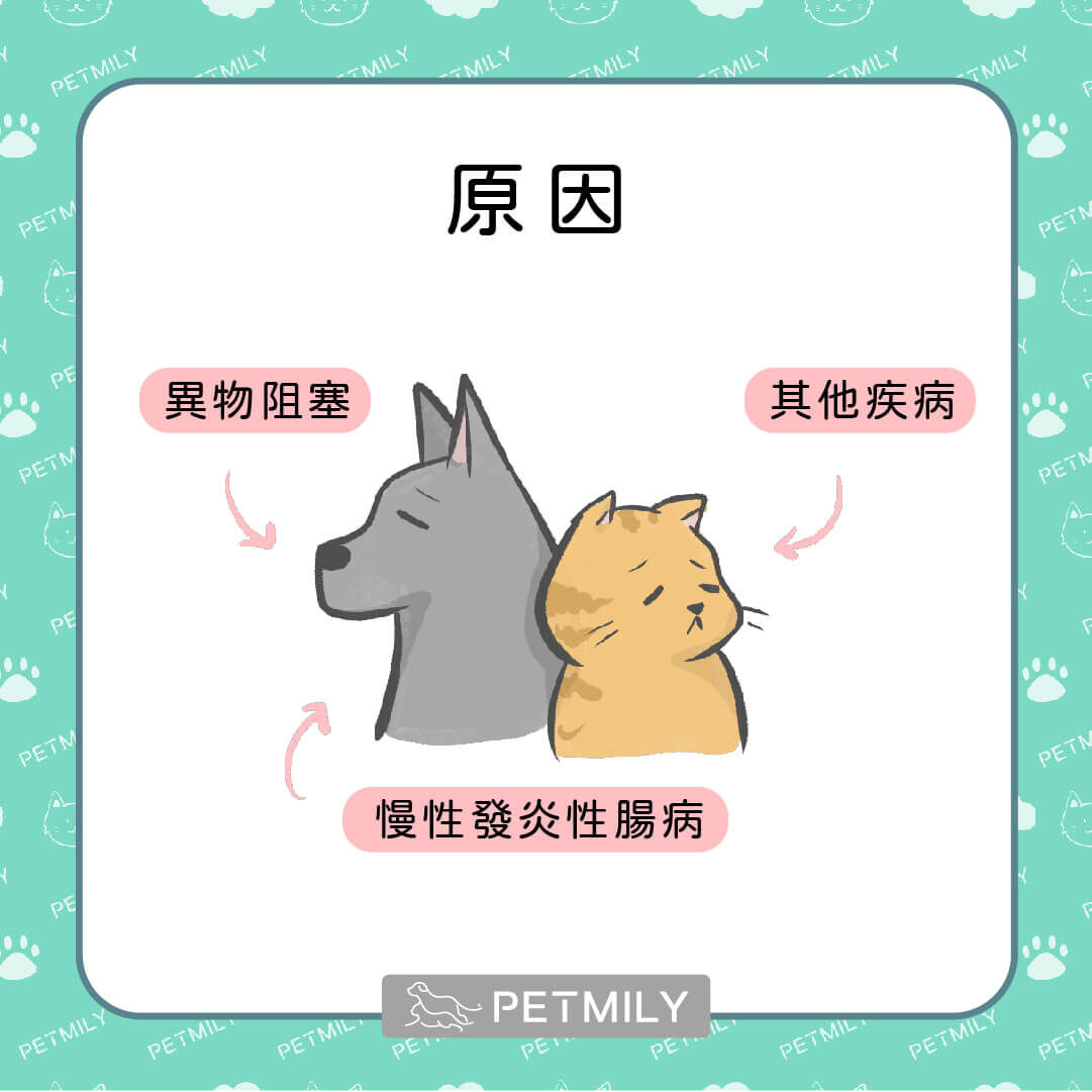 可能導致腸胃不適的7個常見原因