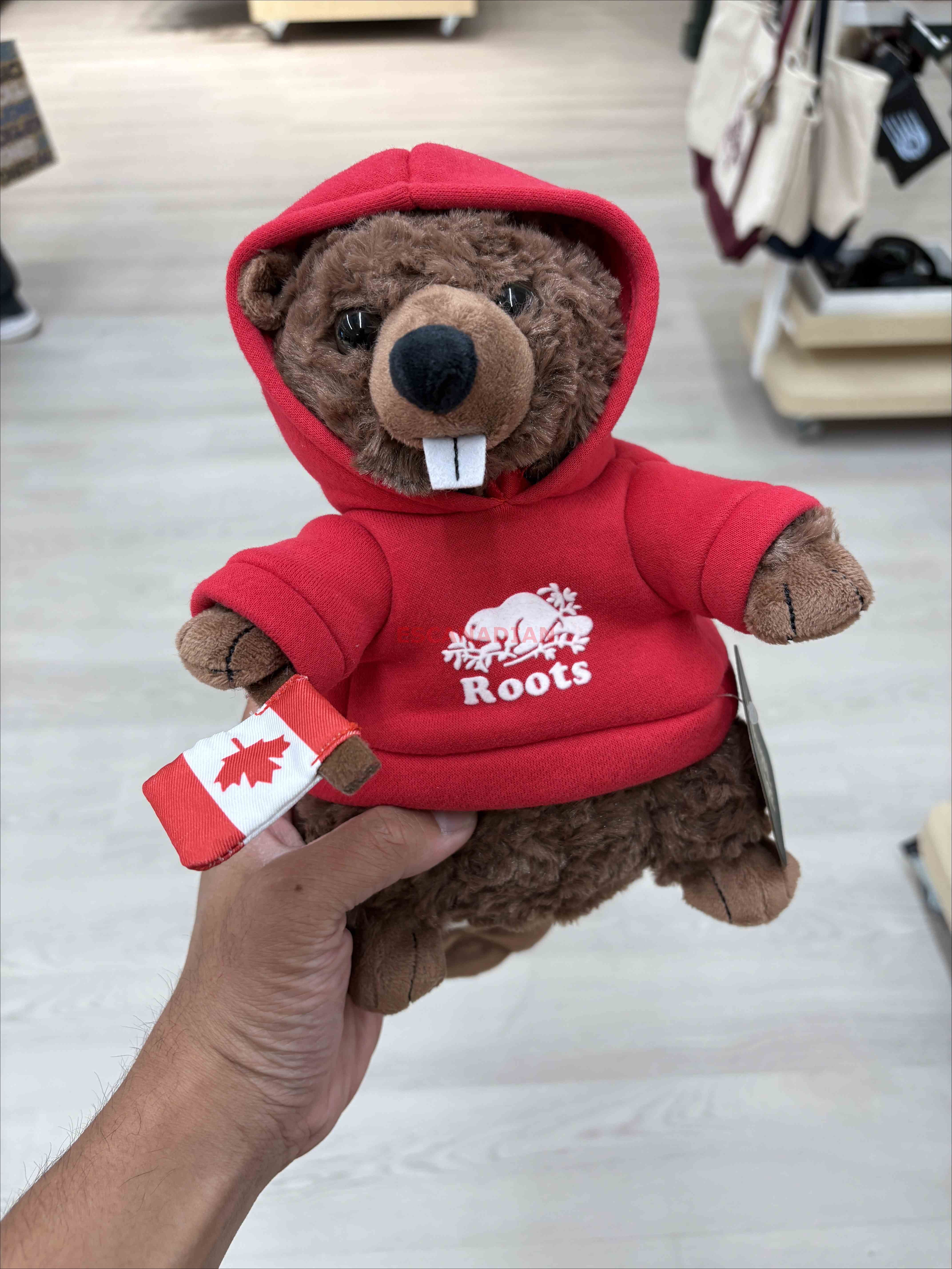 ROOTS 加拿大限定款 海狸寶寶