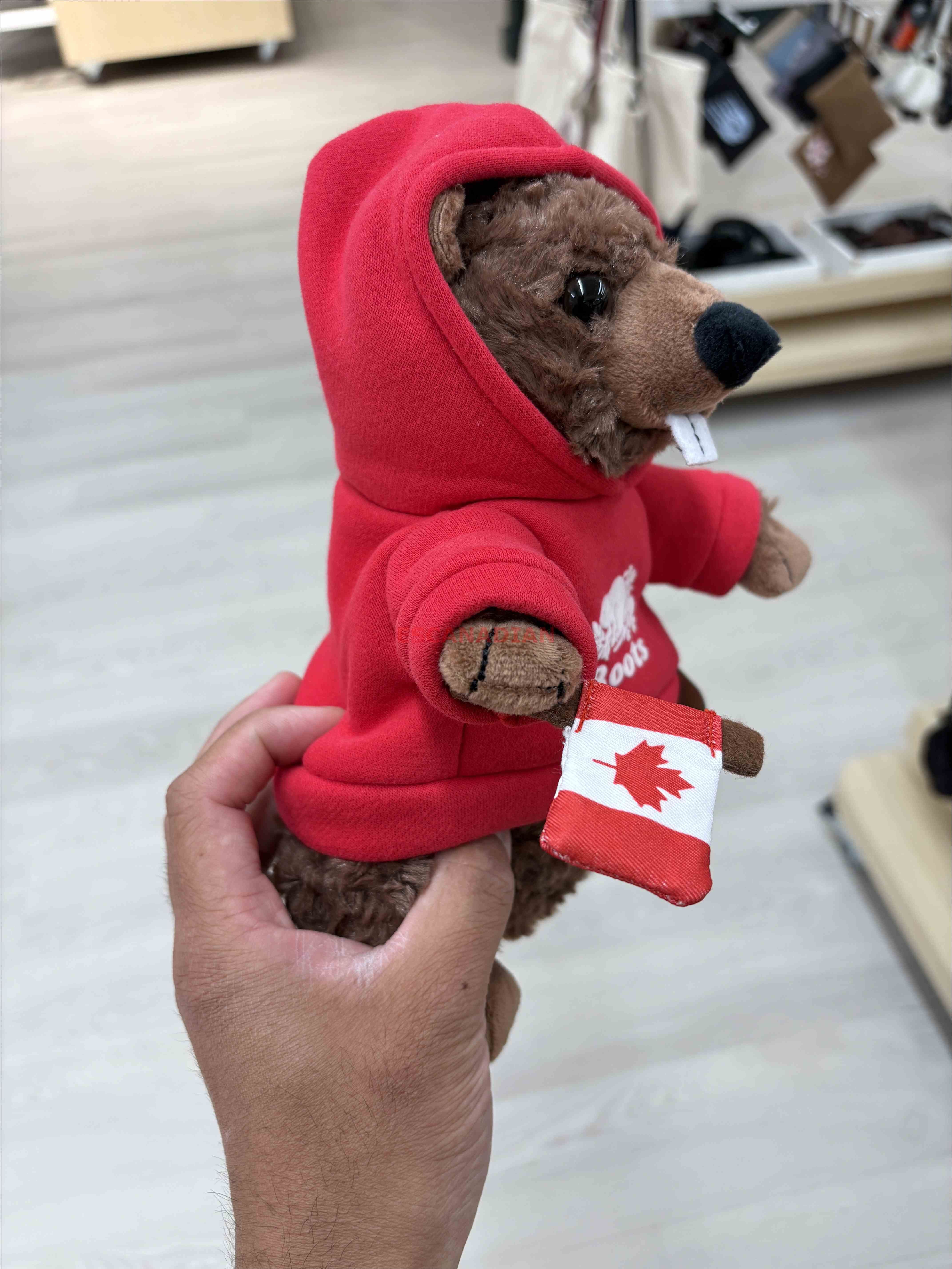 ROOTS 加拿大限定款 海狸寶寶