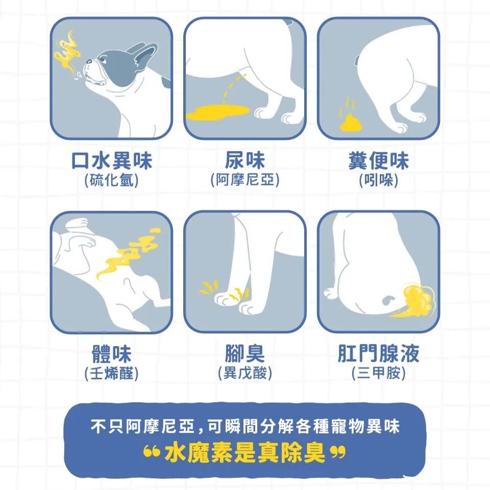 Water magic 水魔素｜除臭濃縮液 水魔素除臭液(可水氧機、掃地機器人、除甲醛，寵物專用香氛)