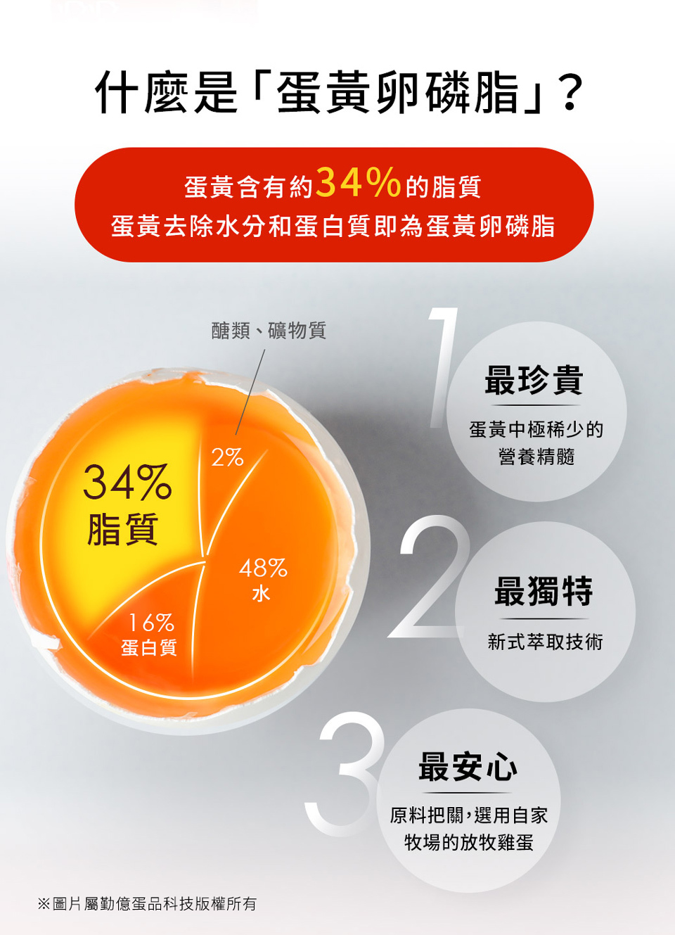 卵磷脂-卵磷脂推薦-卵磷脂功效-蛋黃卵磷脂-勤億過惢關-蛋黃成分