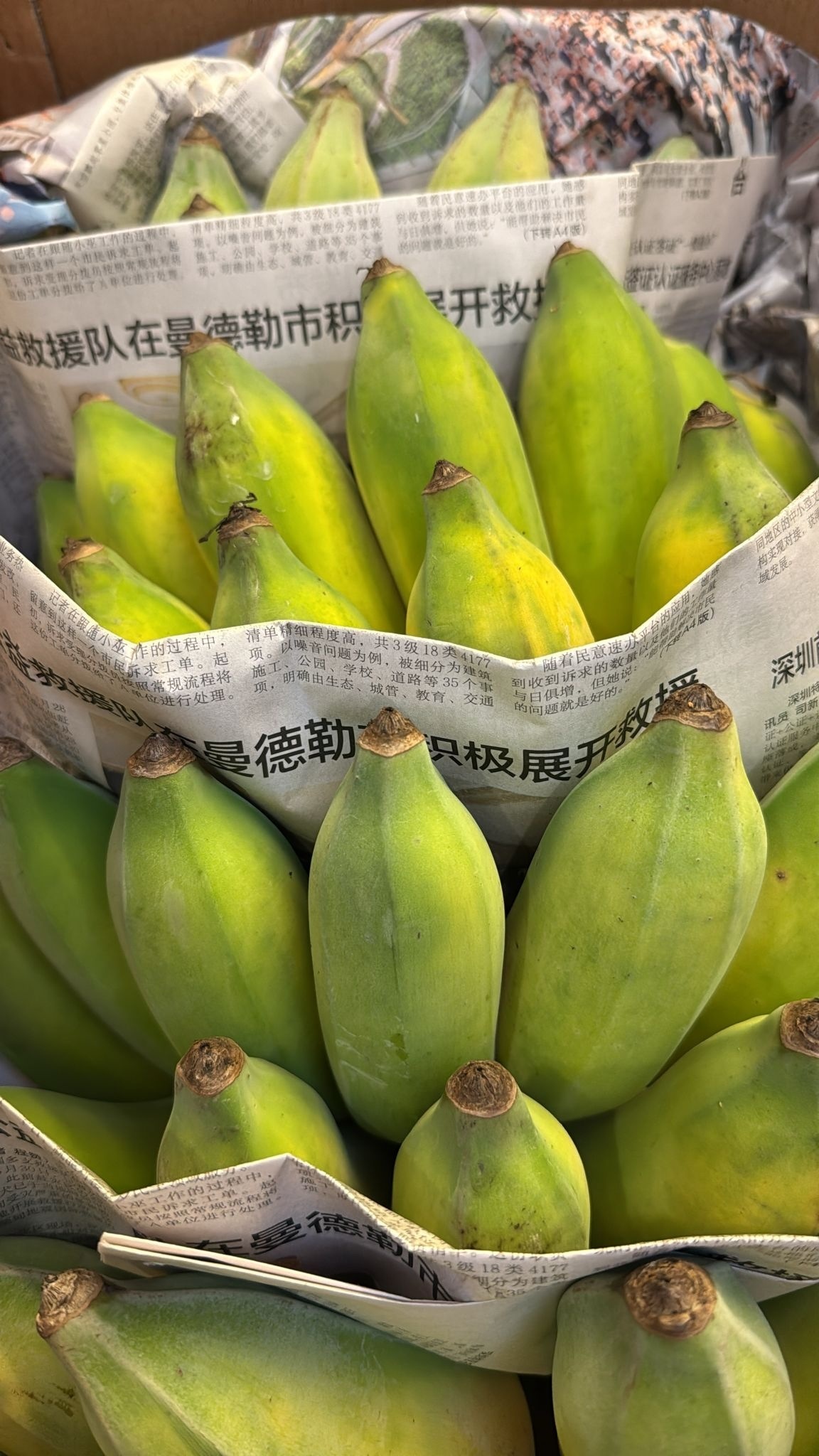 中國牛奶蕉 （每磅）
