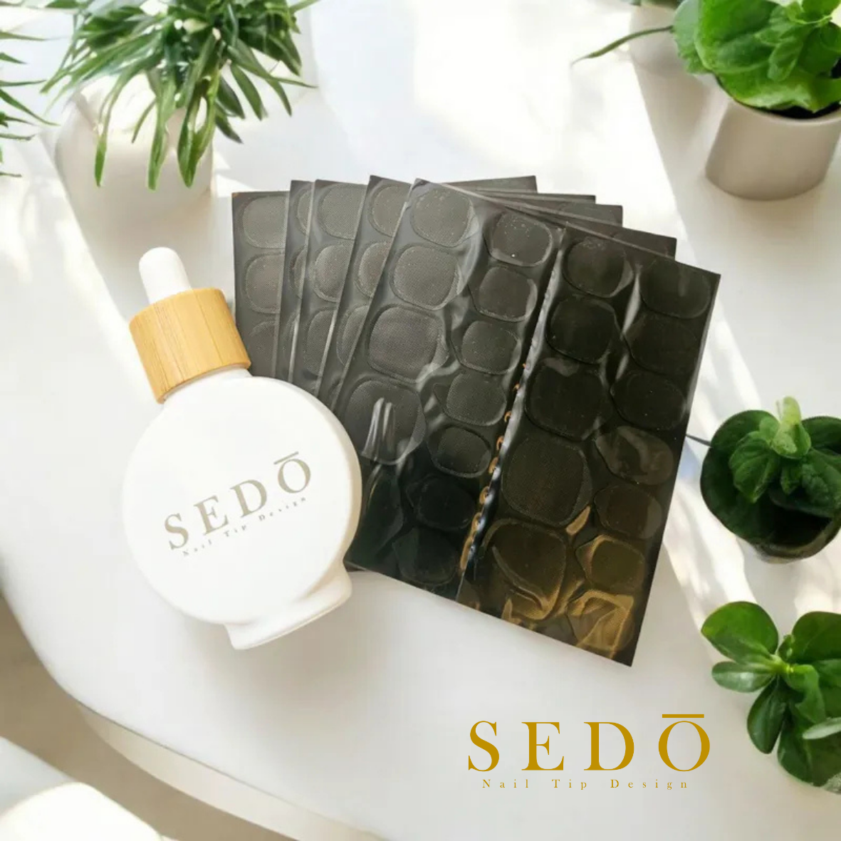 卸護兩用指緣油+光固貼組