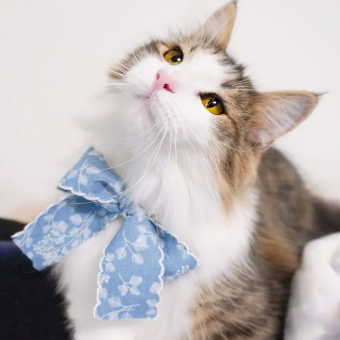 輕甜小珍珠項鍊