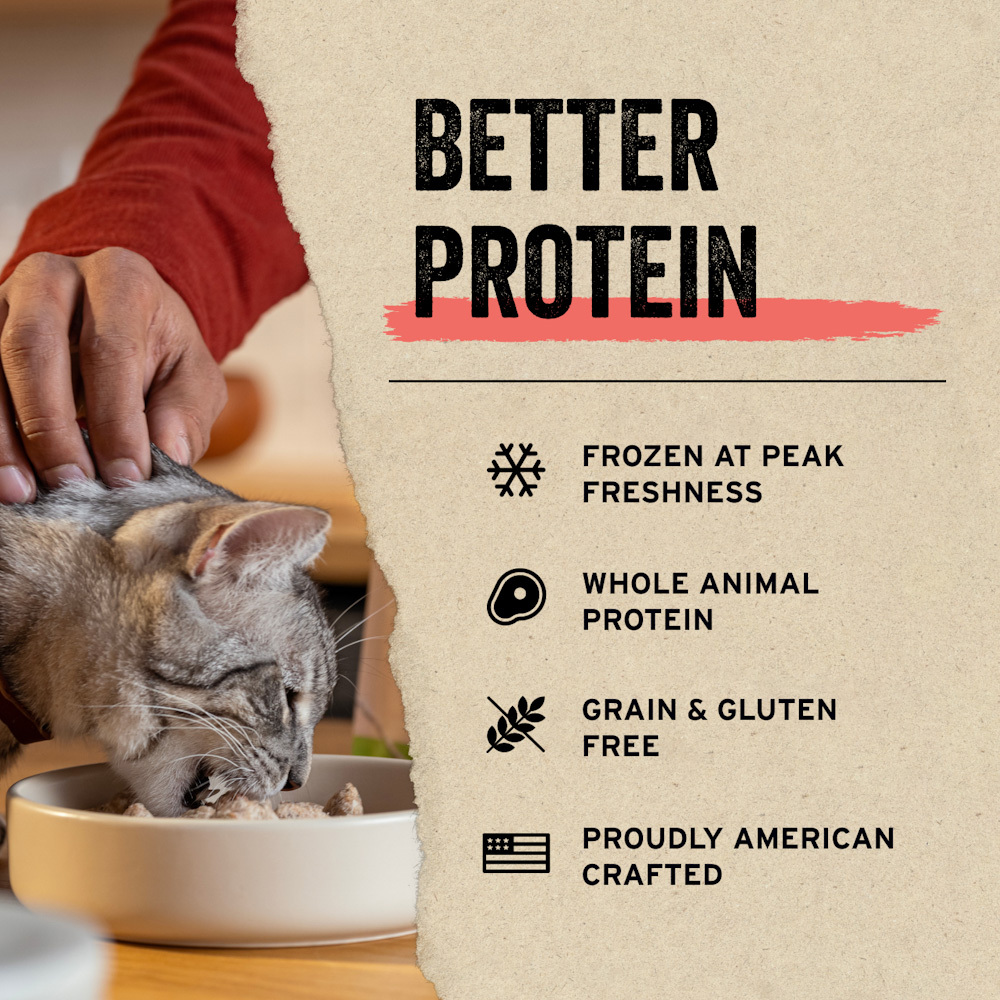 "Bundle of 3 Promo!"  Vital Essentials® Freeze-Dried Raw Cat Food Mini Nibs, Duck, 8 oz