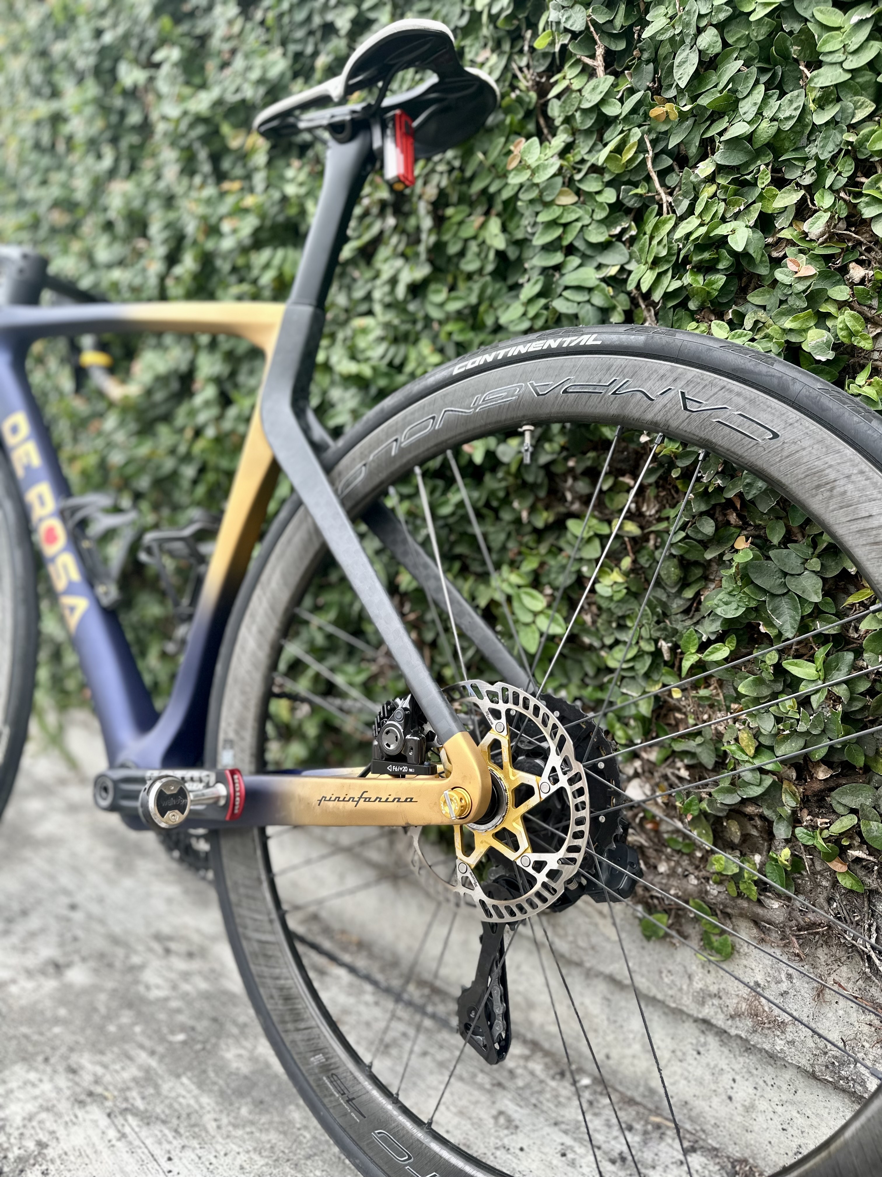 PSB PR11 公路車 碟盤 160mm/限量金色