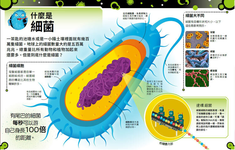 <img src="The Bacteria Book-03.jpg" alt="什麼是細菌?">