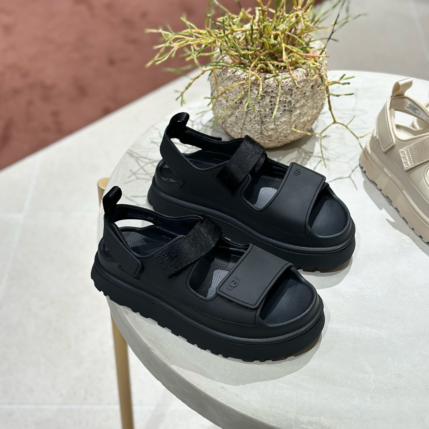 UGG Goldenglow 黑色 沙漠 4色 魔鬼氈 增高 厚底 涼拖鞋 1152685