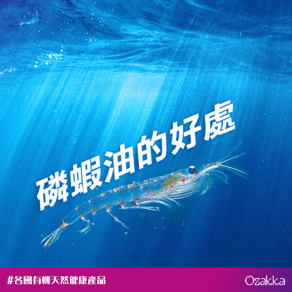 磷蝦油的好處：全面提升健康的天然營養補充品