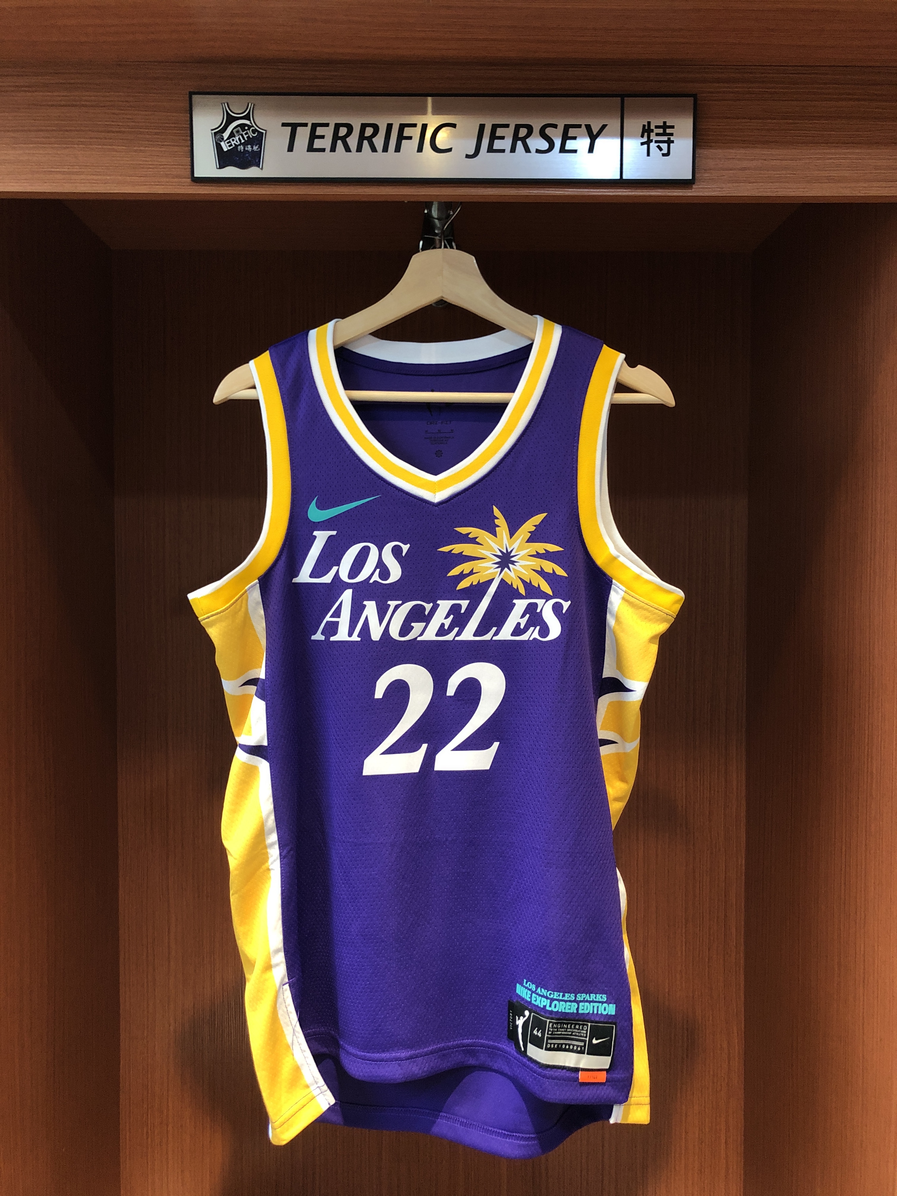 WNBA球衣 Cameron Brink 洛杉磯火花紫 Nike Swingman 球迷版 熱轉印 全新