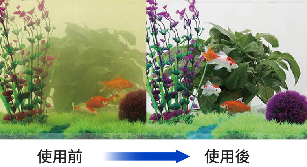 有效解決水體混濁、發黃與異味問題,提升魚缸水質清澈度與魚隻健康,讓您的水族環境更純淨