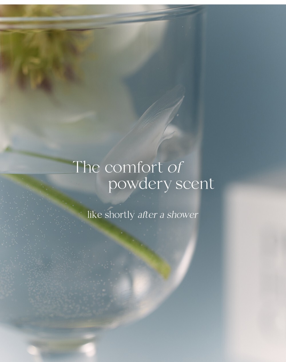 【預購】After Blow 護手霜- 03 Powdery Rose