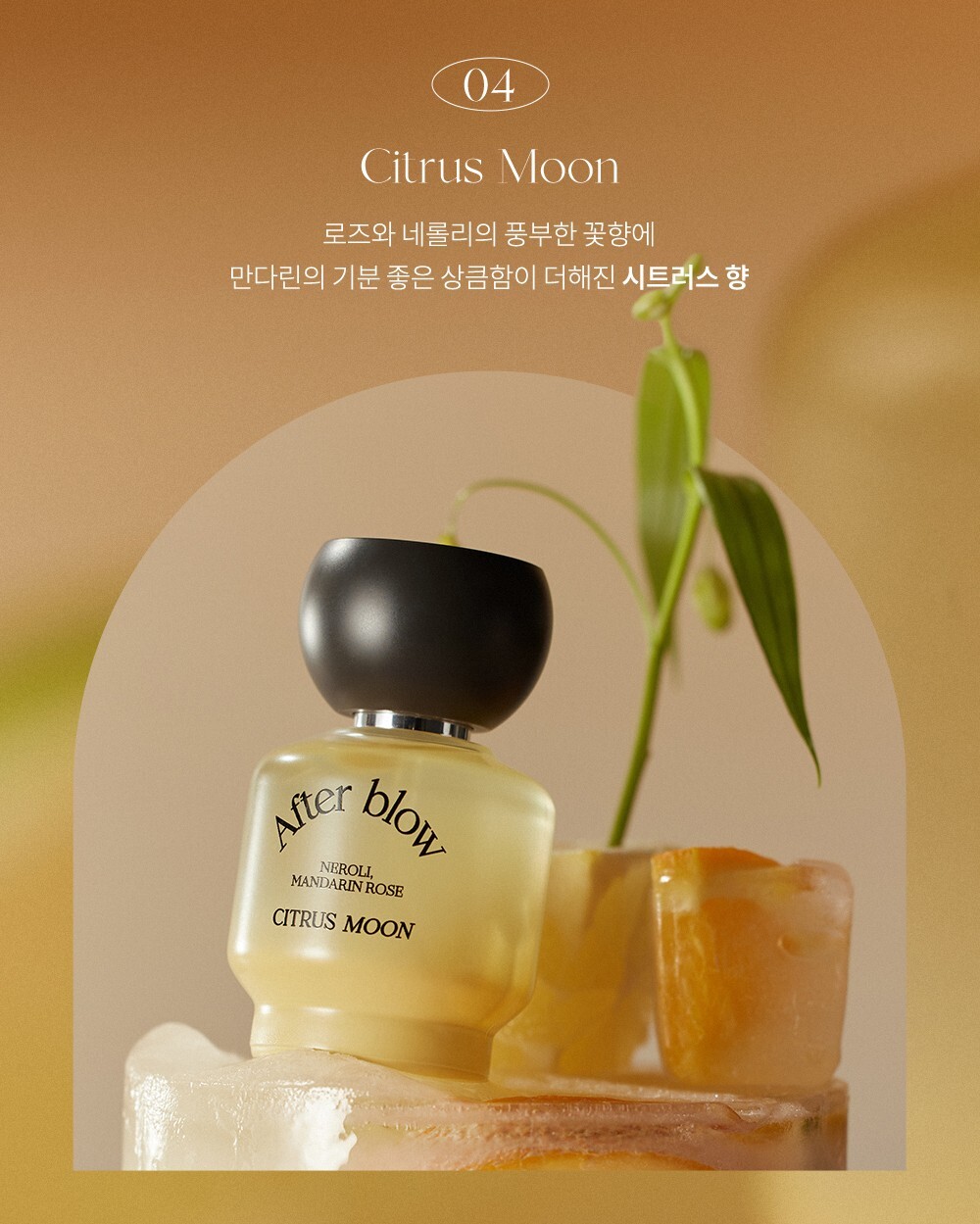 【預購】After Blow 淡香精- 04 Citrus Moon
