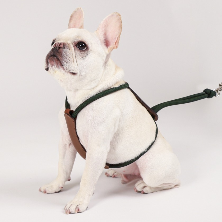 Essential Harness寵物胸背帶