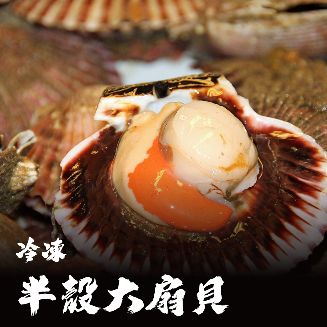 鮮凍 半殼大扇貝
