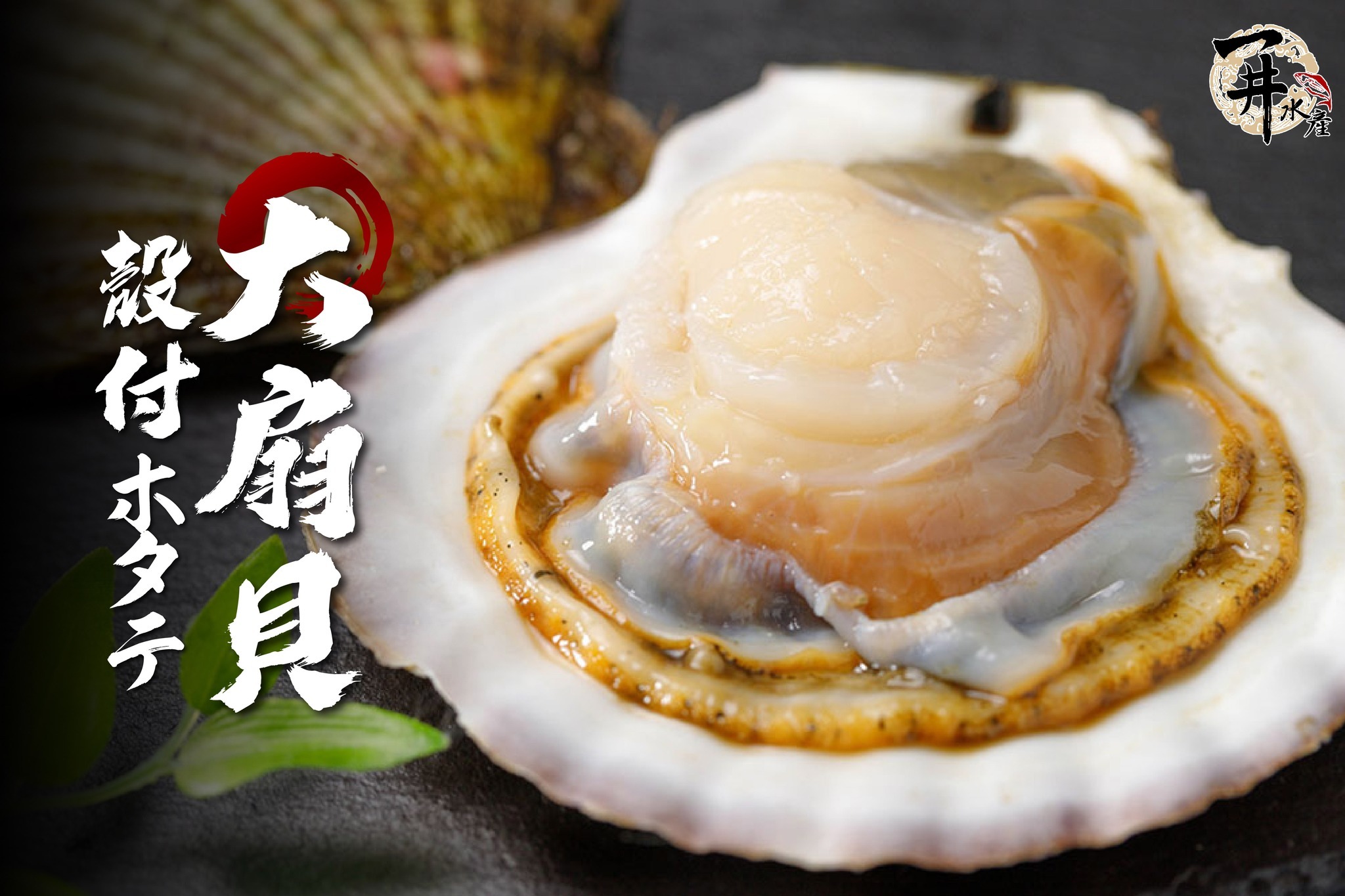 鮮凍 半殼大扇貝