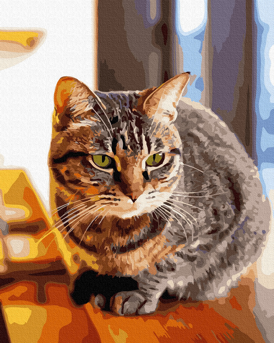 【DT184】慵懶貓